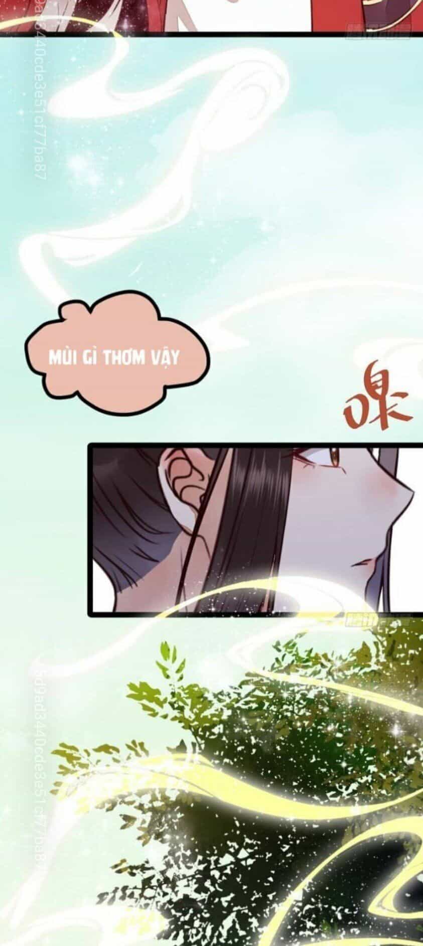 Tuyệt Sắc Quyến Rũ: Quỷ Y Chí Tôn - Chương 211 - ảnh 27