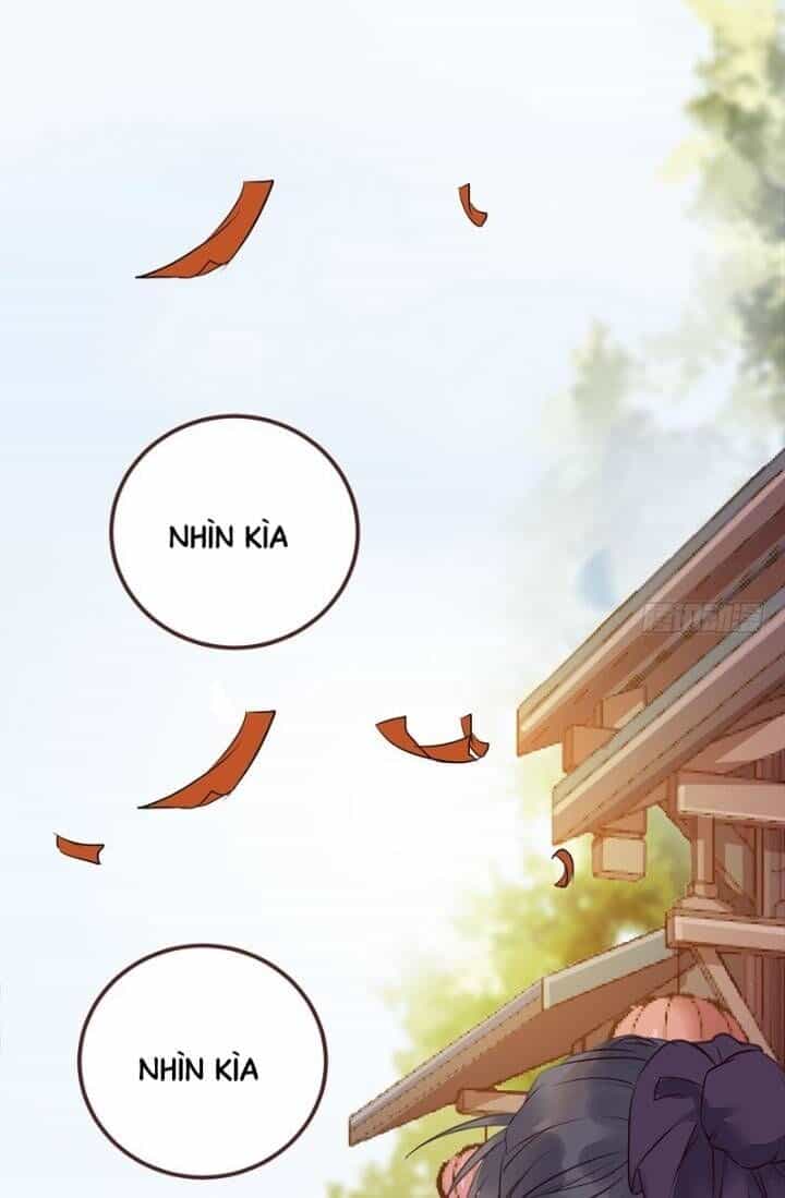 Tuyệt Sắc Quyến Rũ: Quỷ Y Chí Tôn - Chương 220 - ảnh 2
