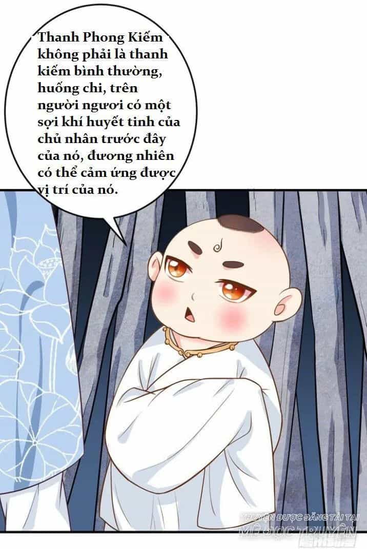 Tuyệt Sắc Quyến Rũ: Quỷ Y Chí Tôn - Chương 25 - ảnh 21