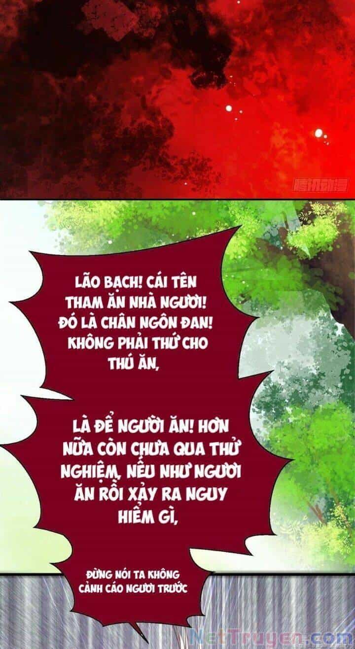 Tuyệt Sắc Quyến Rũ: Quỷ Y Chí Tôn - Chương 262 - ảnh 29