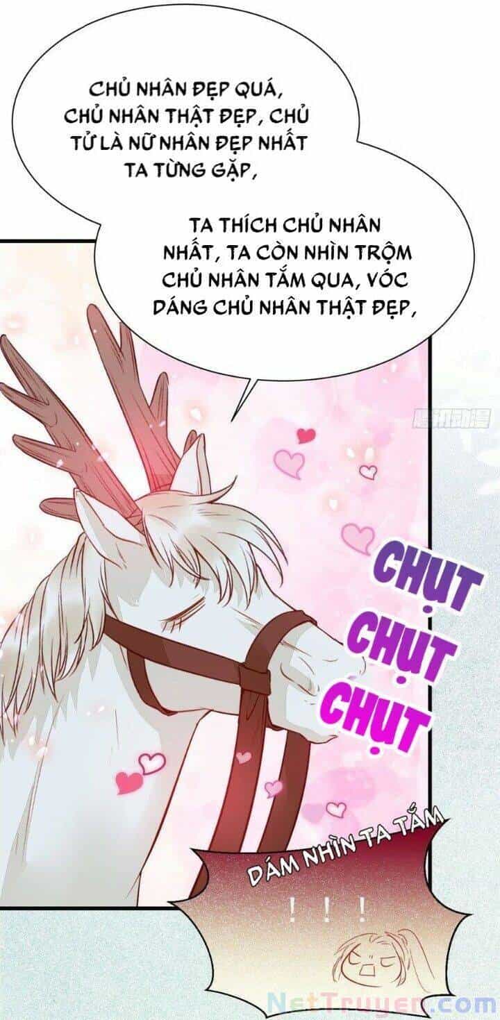 Tuyệt Sắc Quyến Rũ: Quỷ Y Chí Tôn - Chương 263 - ảnh 3