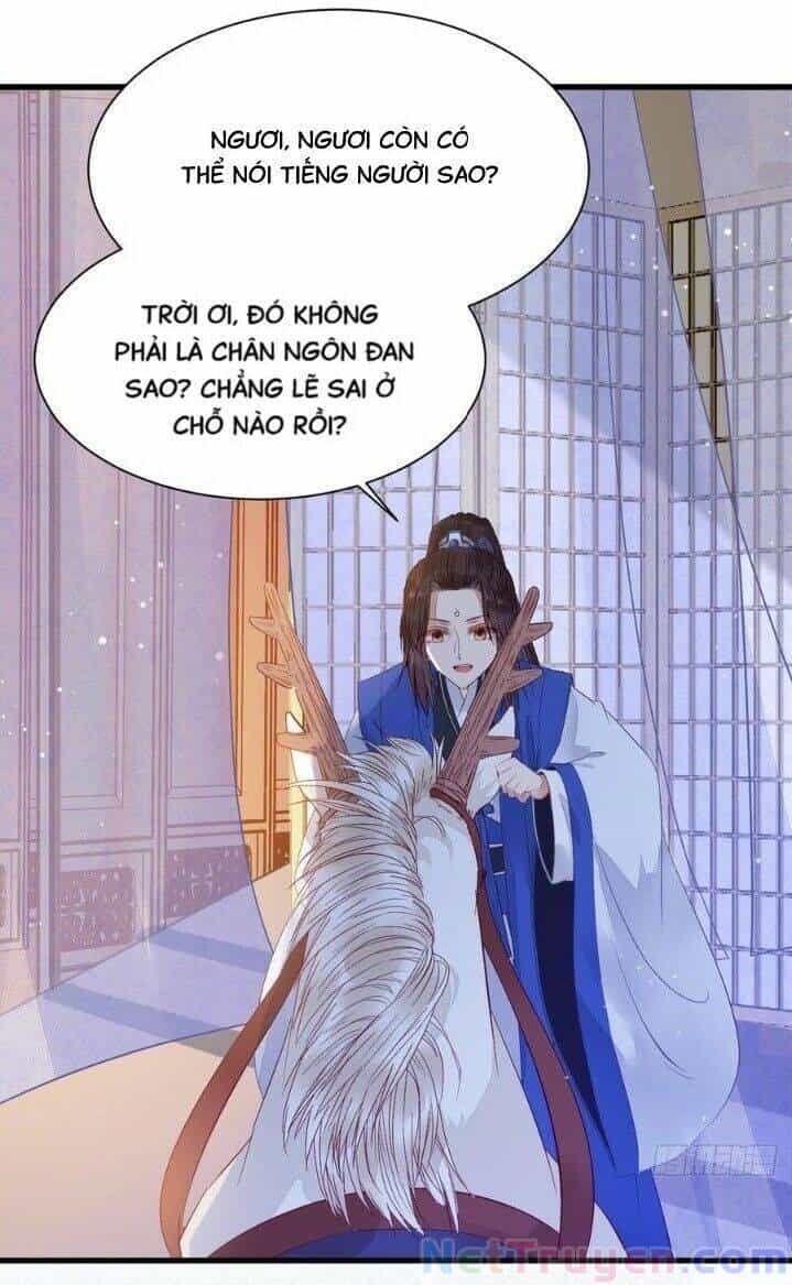 Tuyệt Sắc Quyến Rũ: Quỷ Y Chí Tôn - Chương 263 - ảnh 7