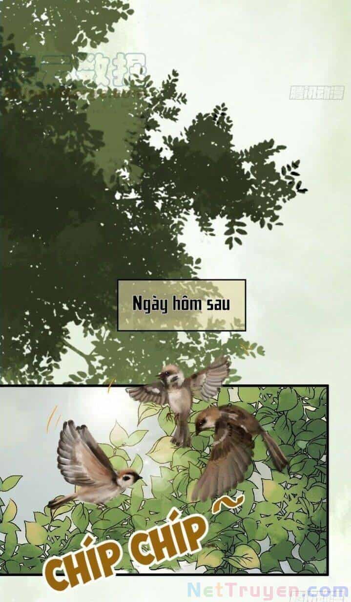 Tuyệt Sắc Quyến Rũ: Quỷ Y Chí Tôn - Chương 266 - ảnh 32