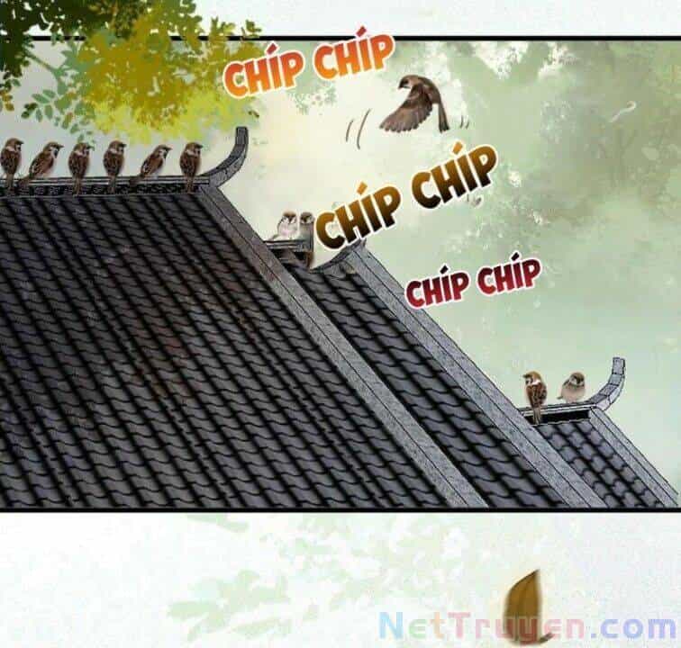 Tuyệt Sắc Quyến Rũ: Quỷ Y Chí Tôn - Chương 267 - ảnh 7