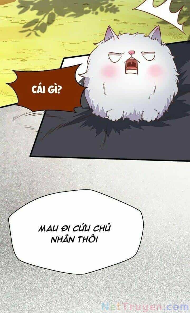 Tuyệt Sắc Quyến Rũ: Quỷ Y Chí Tôn - Chương 276 - ảnh 37
