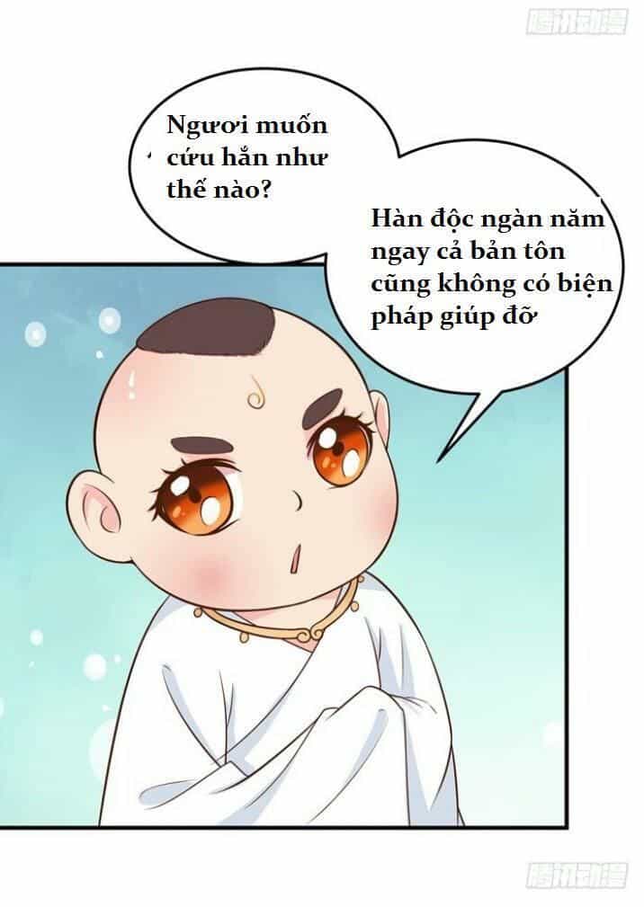 Tuyệt Sắc Quyến Rũ: Quỷ Y Chí Tôn - Chương 28 - ảnh 49