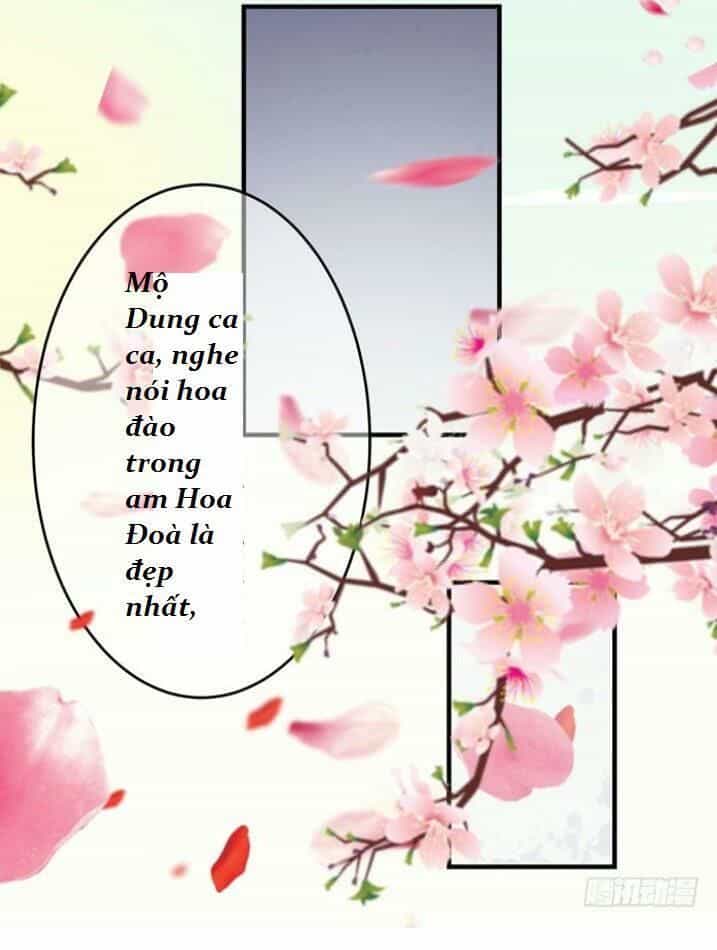 Tuyệt Sắc Quyến Rũ: Quỷ Y Chí Tôn - Chương 33 - ảnh 13
