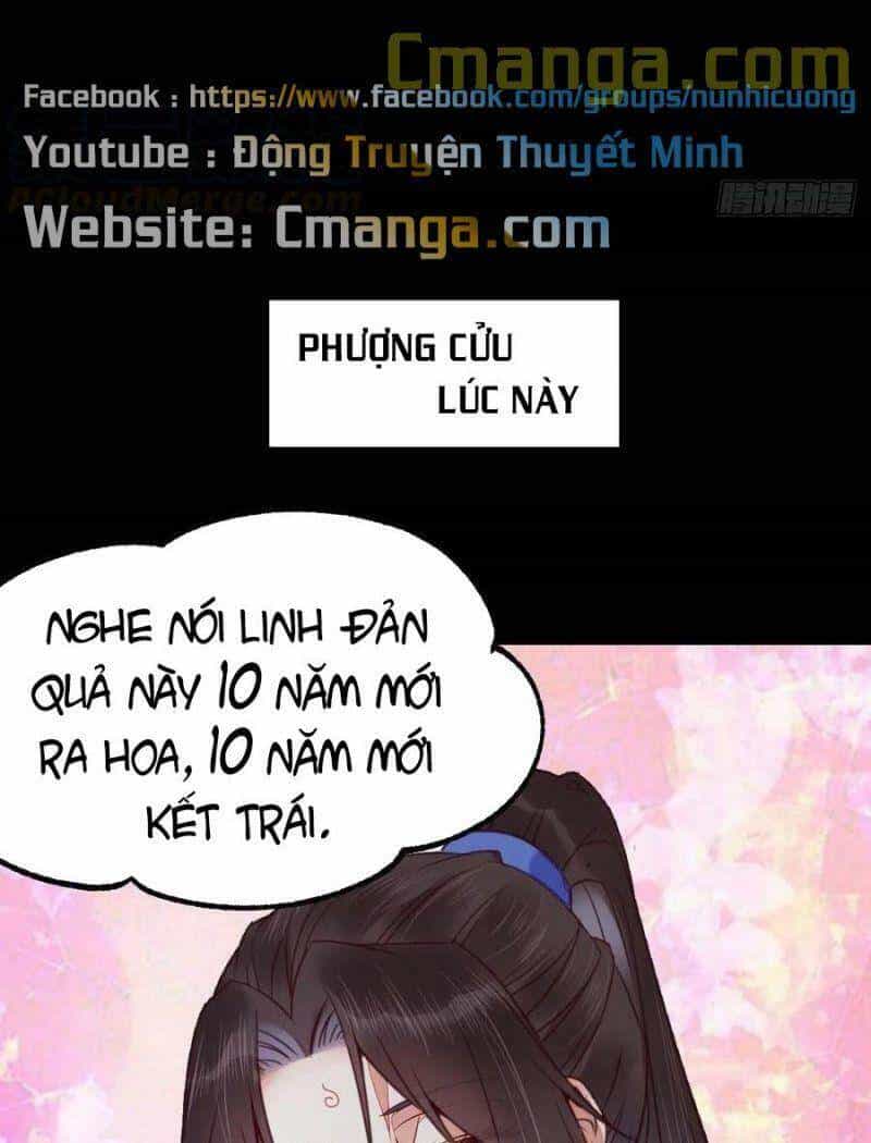 Tuyệt Sắc Quyến Rũ: Quỷ Y Chí Tôn - Chương 348 - ảnh 8