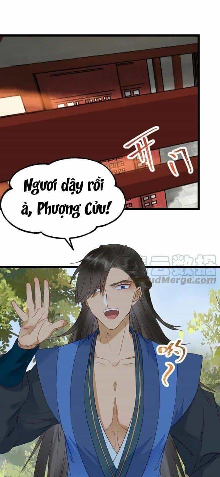 Tuyệt Sắc Quyến Rũ: Quỷ Y Chí Tôn - Chương 352 - ảnh 20