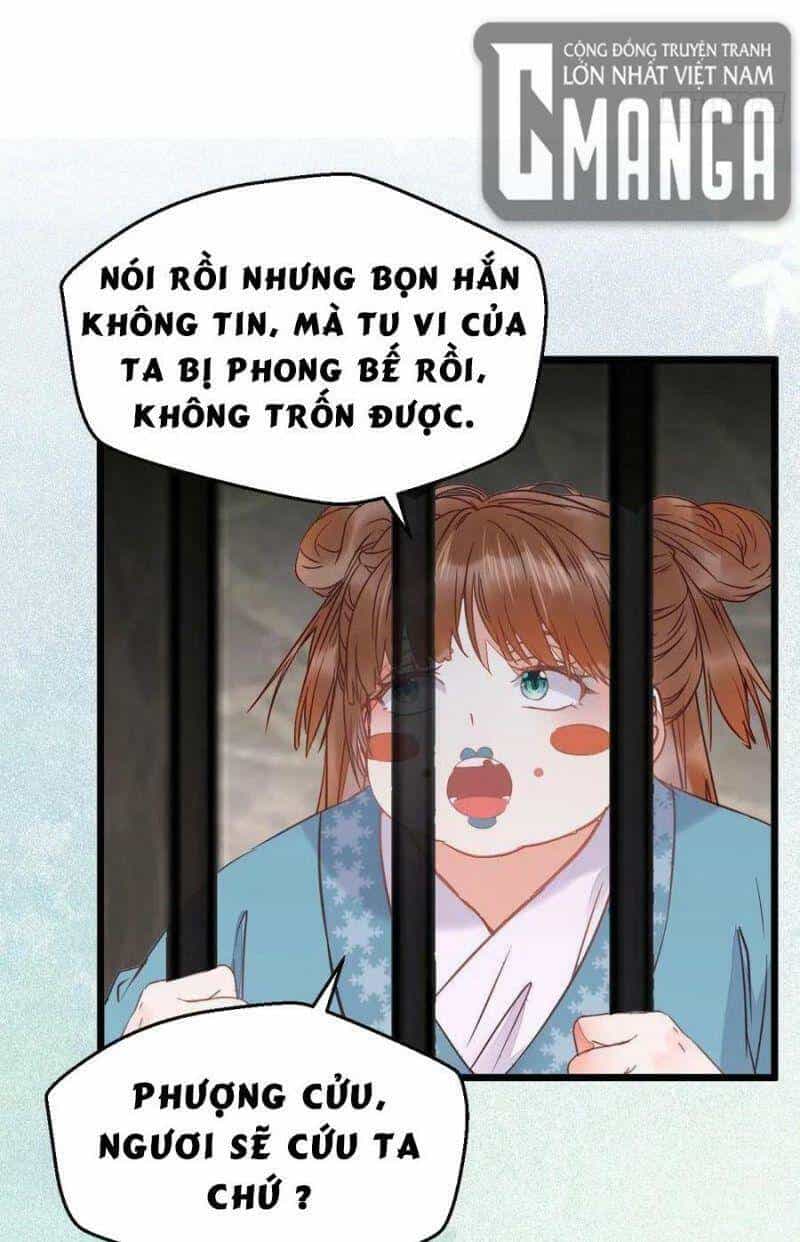 Tuyệt Sắc Quyến Rũ: Quỷ Y Chí Tôn - Chương 374 - ảnh 17