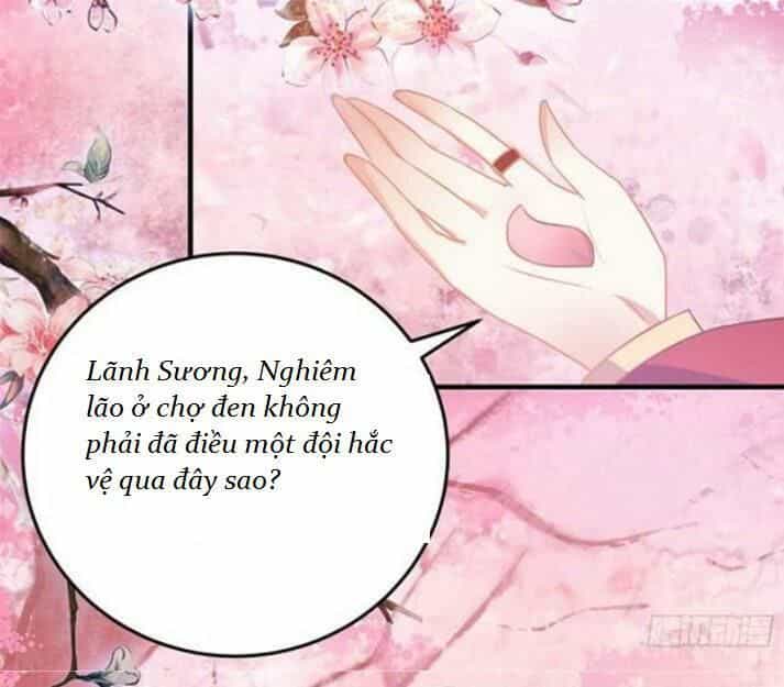 Tuyệt Sắc Quyến Rũ: Quỷ Y Chí Tôn - Chương 42 - ảnh 24