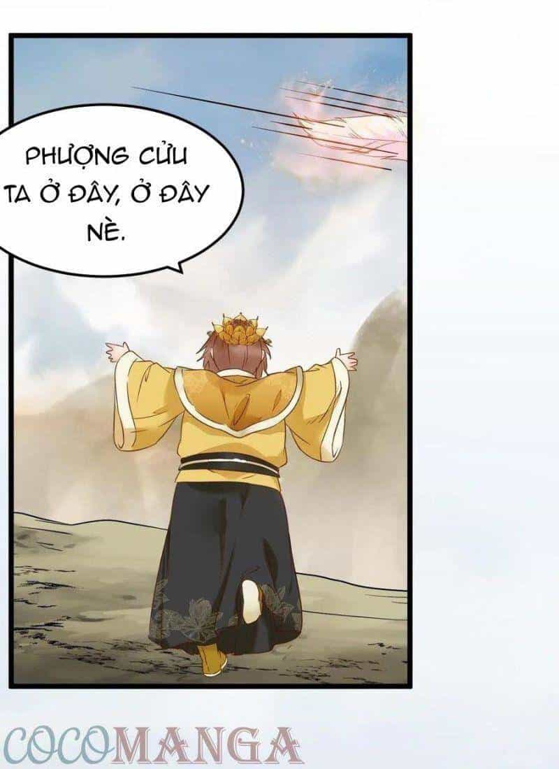 Tuyệt Sắc Quyến Rũ: Quỷ Y Chí Tôn - Chương 431 - ảnh 17