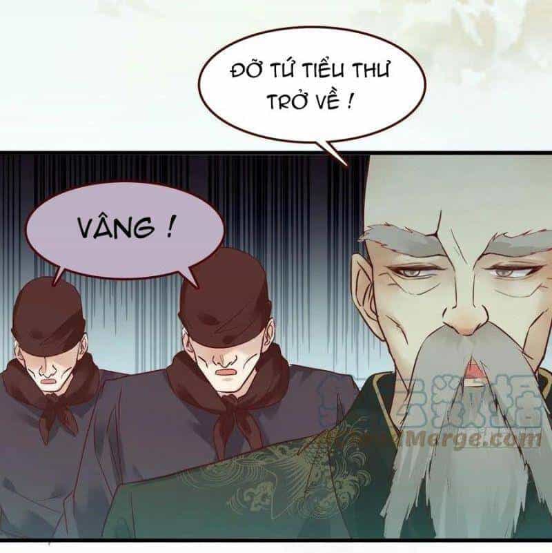 Tuyệt Sắc Quyến Rũ: Quỷ Y Chí Tôn - Chương 446 - ảnh 6