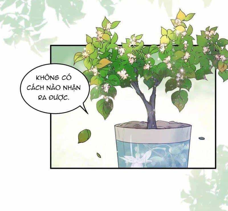 Tuyệt Sắc Quyến Rũ: Quỷ Y Chí Tôn - Chương 451 - ảnh 15