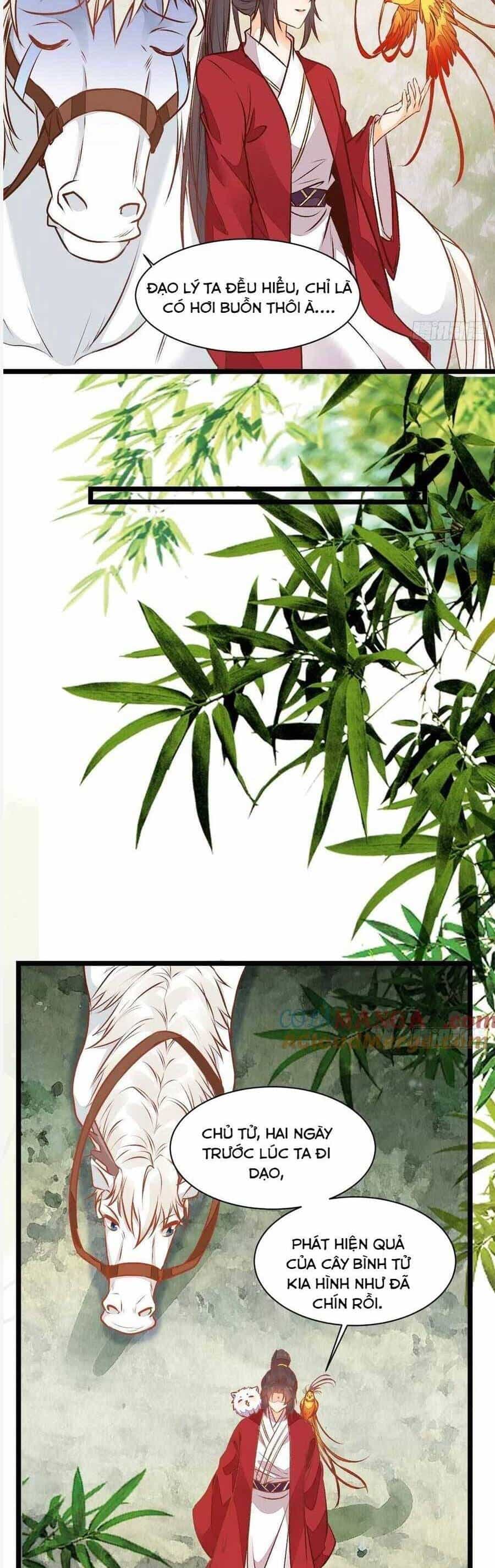 Tuyệt Sắc Quyến Rũ: Quỷ Y Chí Tôn - Chương 504 - ảnh 8