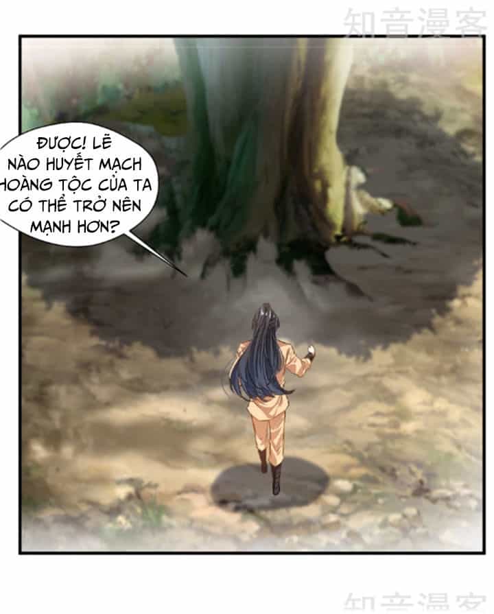 Tuyệt Thế Cổ Tôn - Chương 9 - ảnh 16
