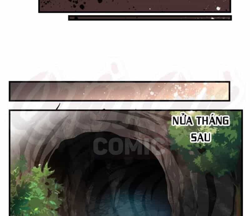 Tuyệt Thế Đế Tôn - Chương 10 - ảnh 8
