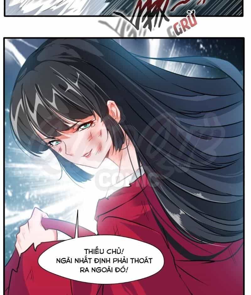 Tuyệt Thế Đế Tôn - Chương 16 - ảnh 8