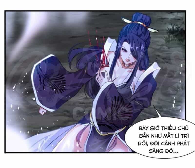 Tuyệt Thế Đế Tôn - Chương 8 - ảnh 23