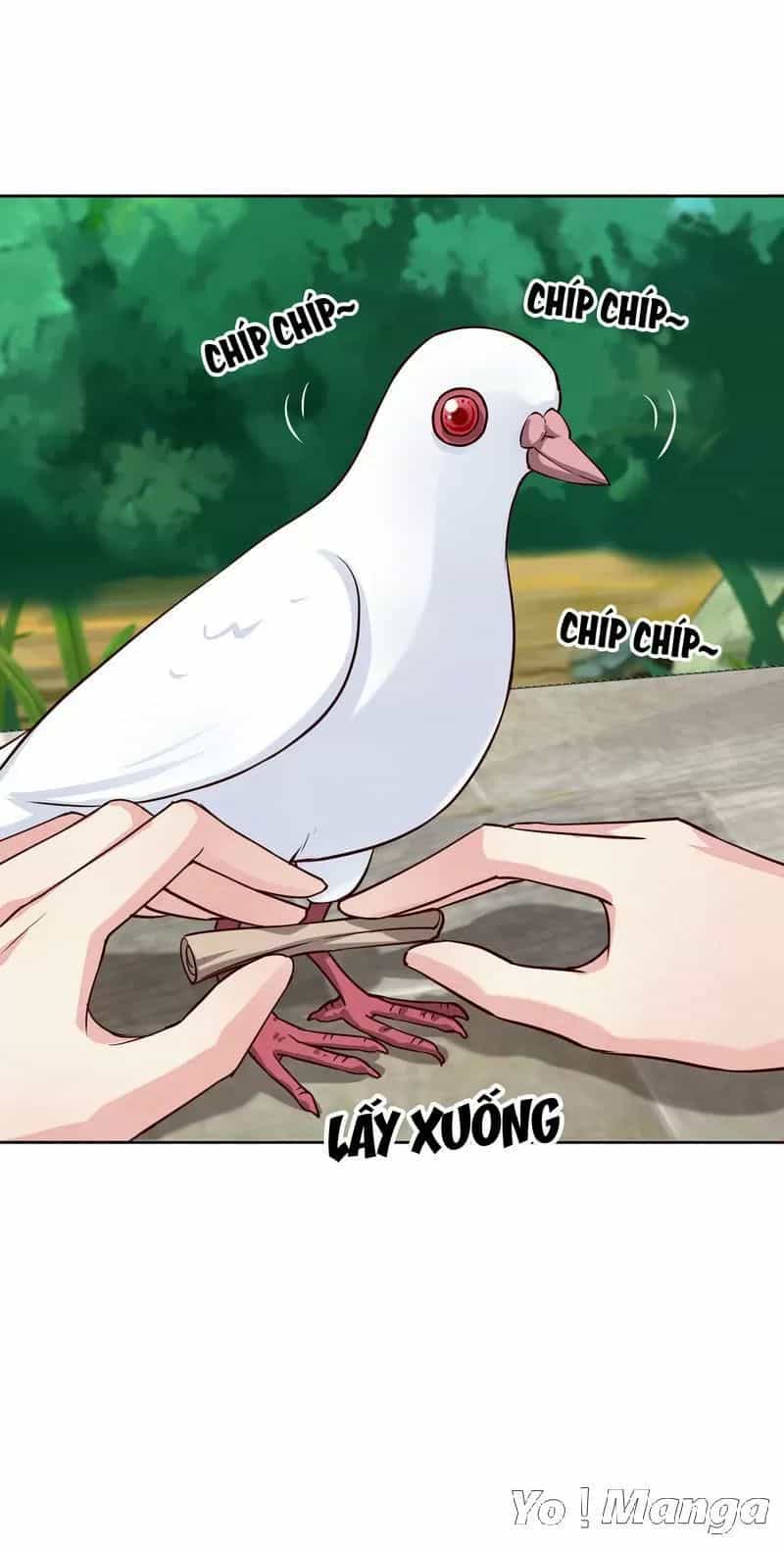 Tuyệt Thế Độc Phi Của Tà Vương - Chương 135 - ảnh 6