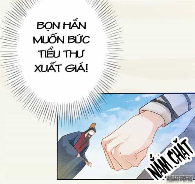 Tuyệt Thế Luyện Đan Sư - Chương 10 - ảnh 15