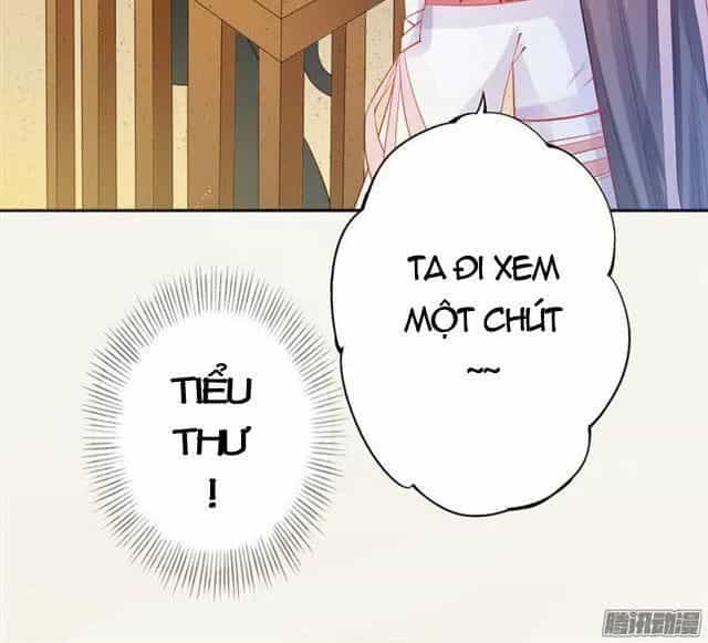Tuyệt Thế Luyện Đan Sư - Chương 10 - ảnh 17