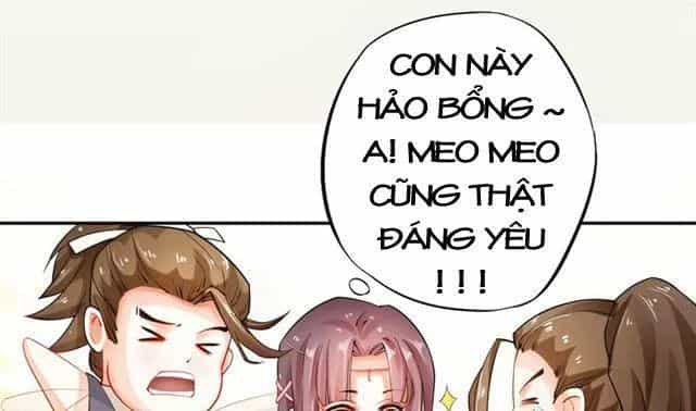 Tuyệt Thế Luyện Đan Sư - Chương 10 - ảnh 18