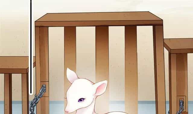 Tuyệt Thế Luyện Đan Sư - Chương 10 - ảnh 22