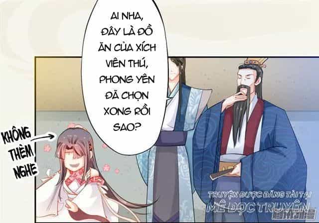 Tuyệt Thế Luyện Đan Sư - Chương 10 - ảnh 26