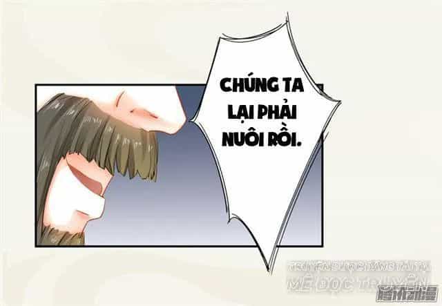 Tuyệt Thế Luyện Đan Sư - Chương 10 - ảnh 31