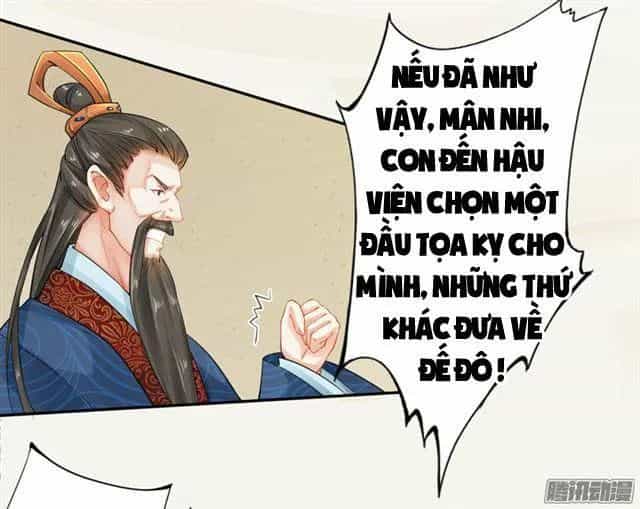 Tuyệt Thế Luyện Đan Sư - Chương 10 - ảnh 48