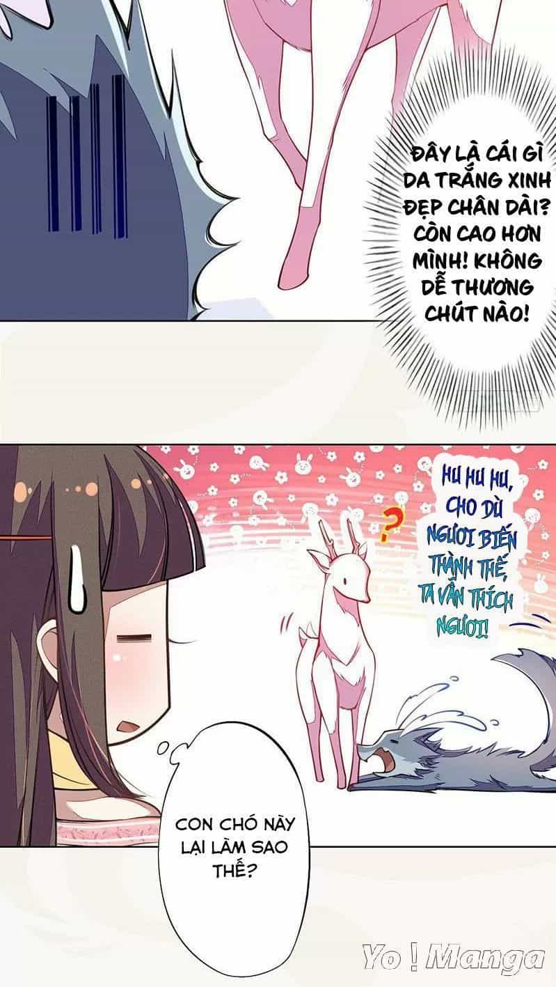 Tuyệt Thế Luyện Đan Sư - Chương 102 - ảnh 30