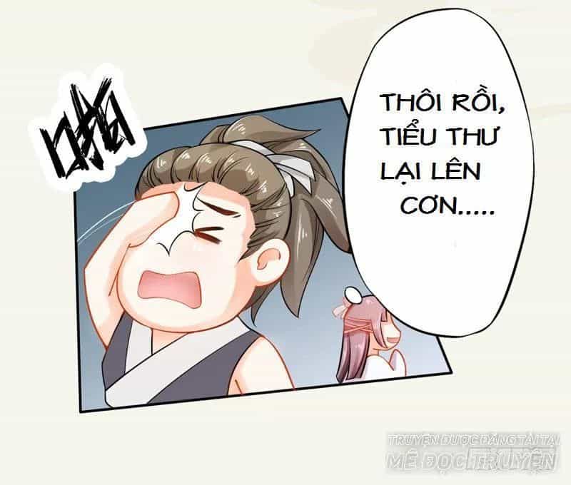 Tuyệt Thế Luyện Đan Sư - Chương 12 - ảnh 11
