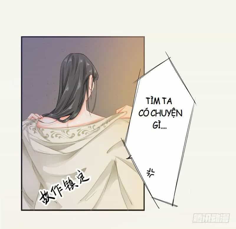 Tuyệt Thế Luyện Đan Sư - Chương 12 - ảnh 30