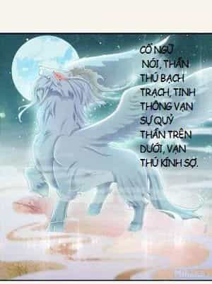 Tuyệt Thế Luyện Đan Sư - Chương 12 - ảnh 7