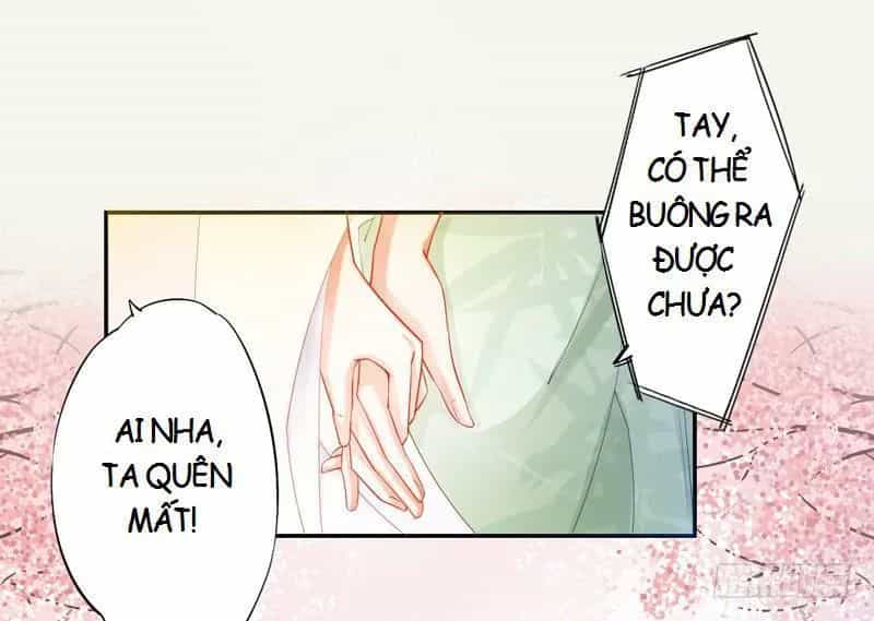 Tuyệt Thế Luyện Đan Sư - Chương 13 - ảnh 23