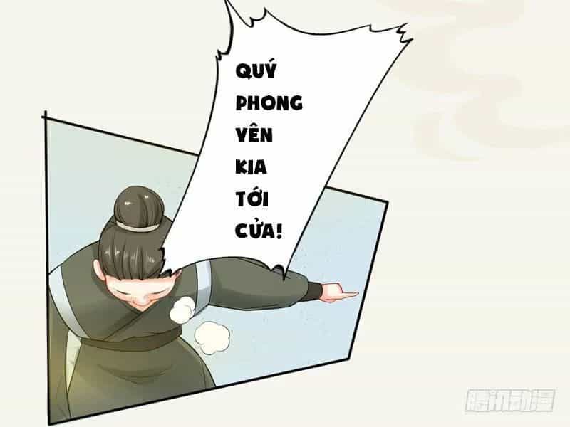Tuyệt Thế Luyện Đan Sư - Chương 13 - ảnh 4