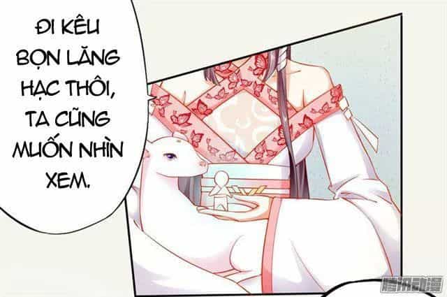 Tuyệt Thế Luyện Đan Sư - Chương 14 - ảnh 10