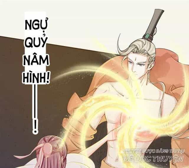 Tuyệt Thế Luyện Đan Sư - Chương 16 - ảnh 41