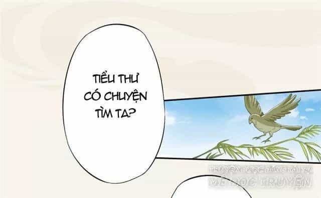Tuyệt Thế Luyện Đan Sư - Chương 17 - ảnh 21