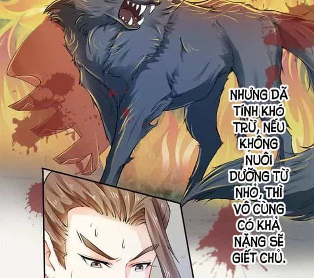 Tuyệt Thế Luyện Đan Sư - Chương 17 - ảnh 29