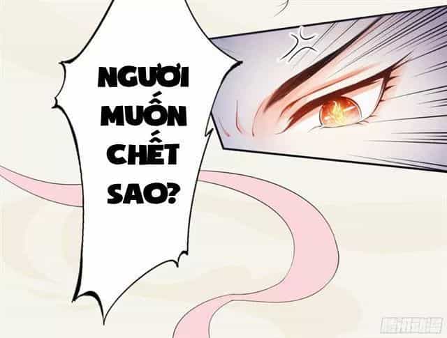 Tuyệt Thế Luyện Đan Sư - Chương 17 - ảnh 48