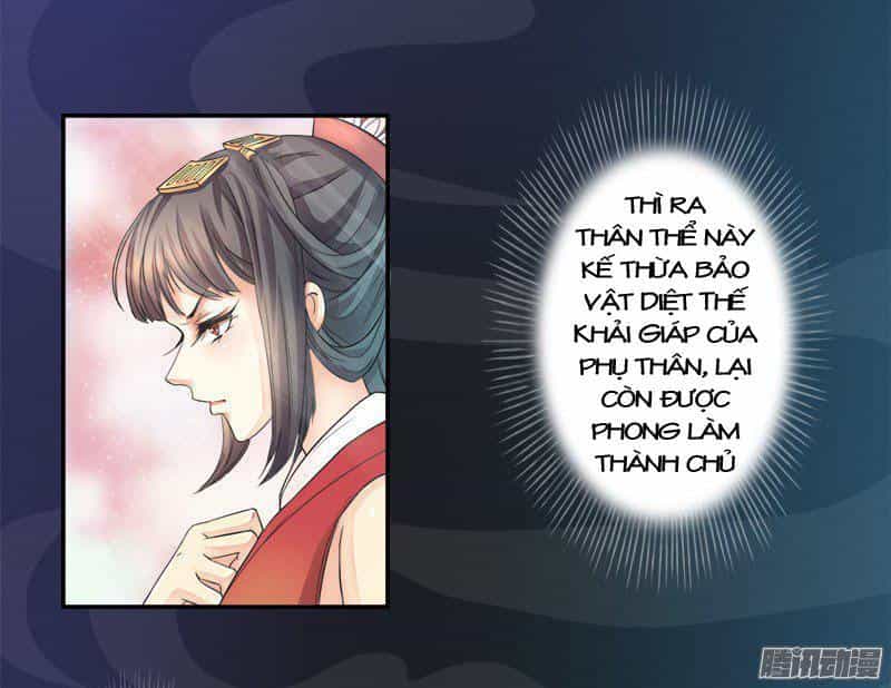 Tuyệt Thế Luyện Đan Sư - Chương 2 - ảnh 24