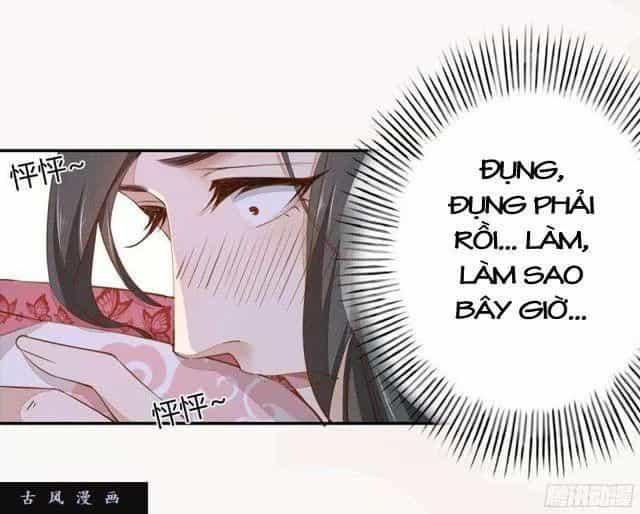 Tuyệt Thế Luyện Đan Sư - Chương 26 - ảnh 32