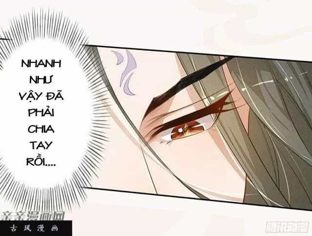 Tuyệt Thế Luyện Đan Sư - Chương 27 - ảnh 4
