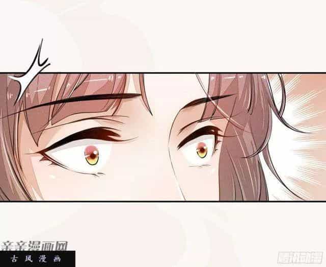 Tuyệt Thế Luyện Đan Sư - Chương 27 - ảnh 40