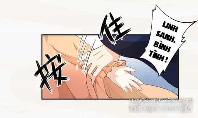 Tuyệt Thế Luyện Đan Sư - Chương 28 - ảnh 21