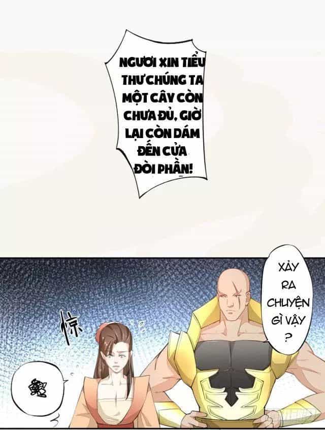 Tuyệt Thế Luyện Đan Sư - Chương 28 - ảnh 25