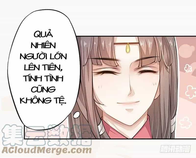 Tuyệt Thế Luyện Đan Sư - Chương 30 - ảnh 13