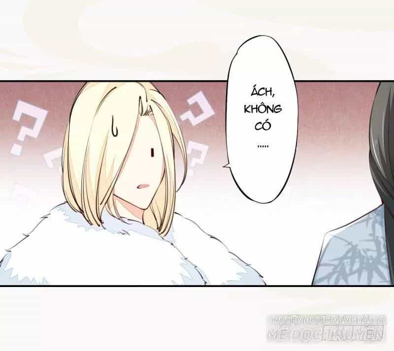 Tuyệt Thế Luyện Đan Sư - Chương 31 - ảnh 6